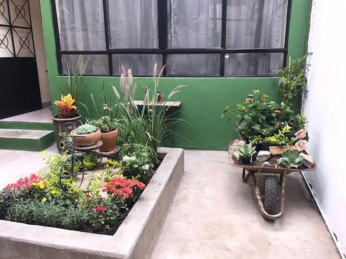 Casa Comoda Con Patio A 4 Cuadras De La Catedral. Oaxaca Ngoại thất bức ảnh